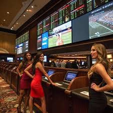 bet 444